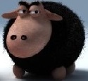 Avatar du membre