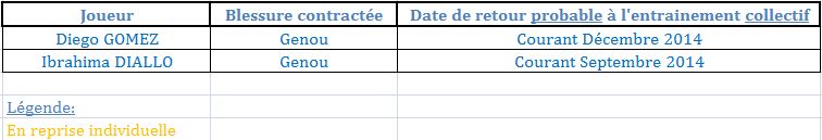 Blessures SCO au 25-06-14.JPG
